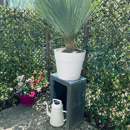 Apartmán The East Wing