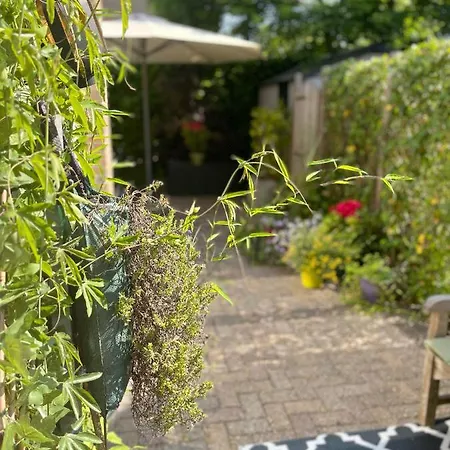 アパート The East Wing